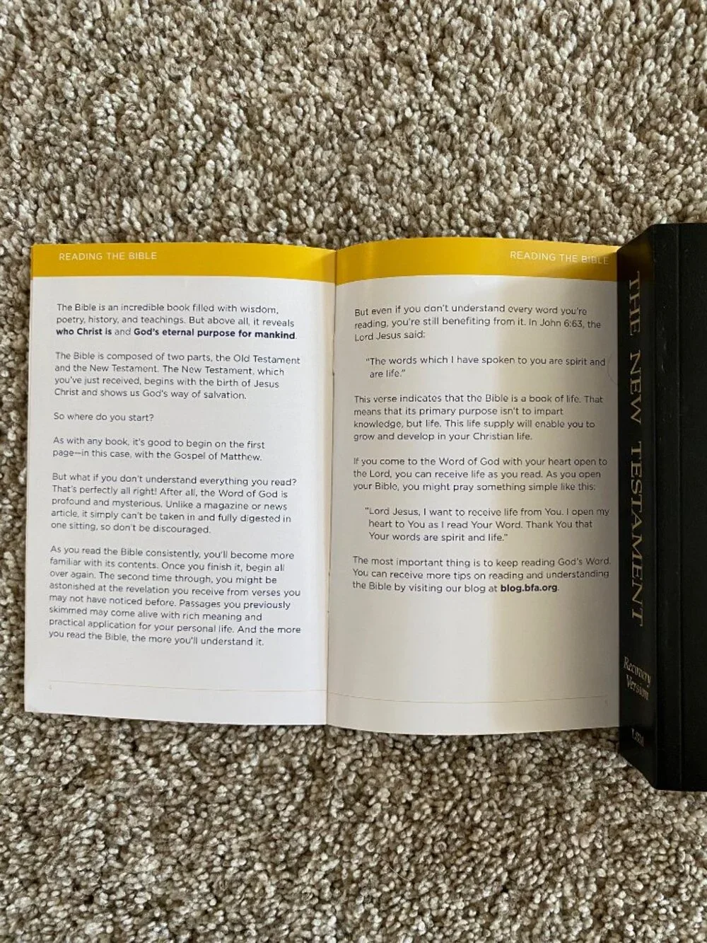 New Testament Recovery Version Bible Living Stream Ministry 1991 Revised Ed.